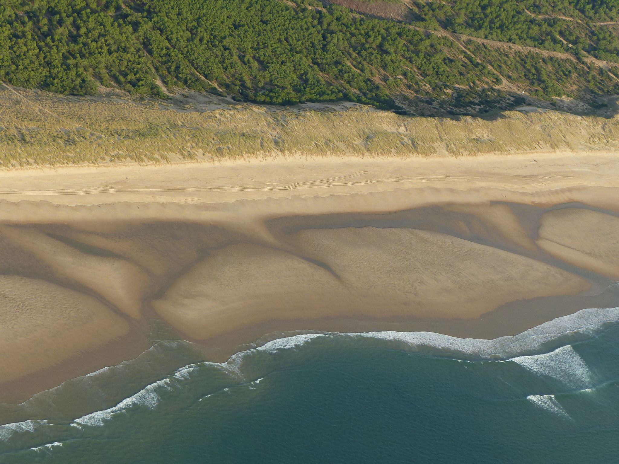 Forêt, dune, plage et océan   P1220005